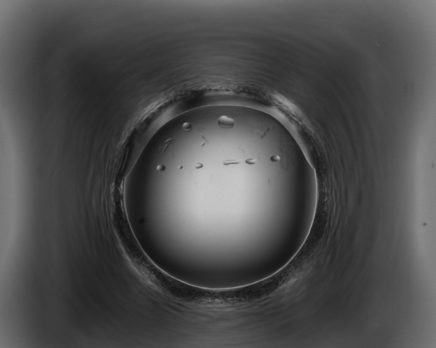 X0000085750538200703231134