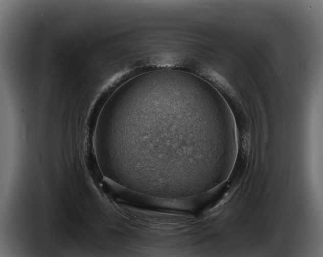 X0000085750540200703231134