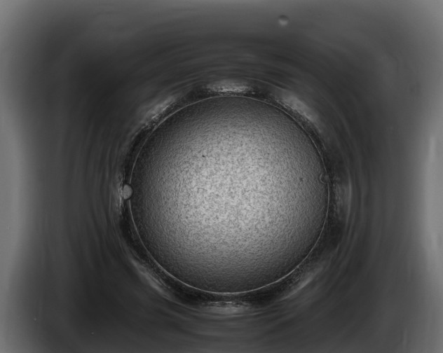 X0000085750541200703231134