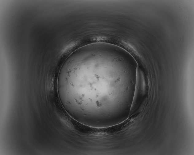 X0000085750543200703231134