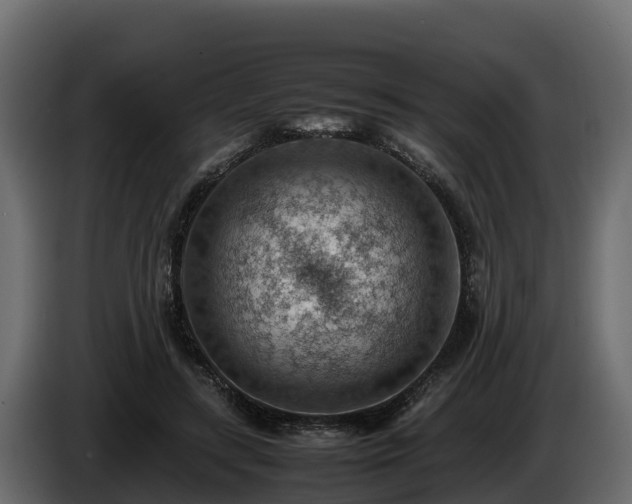 X0000085750547200703231135