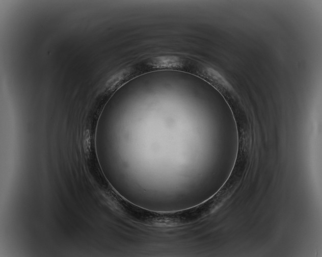X0000085750549200703231135