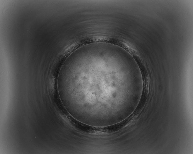 X0000085750550200703231135