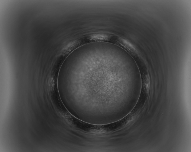 X0000085750551200703231135