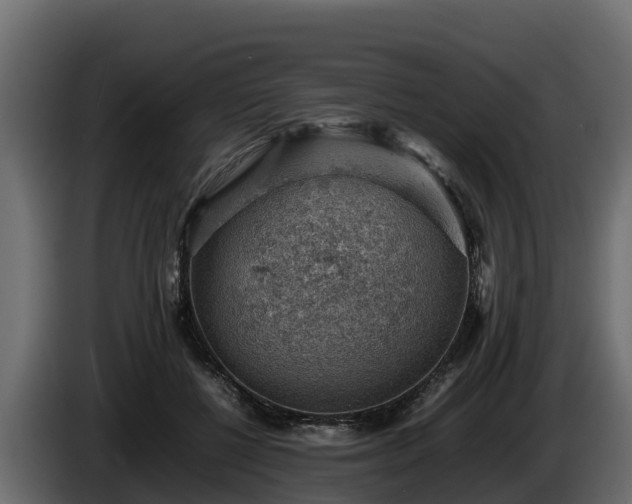 X0000085750552200703231135