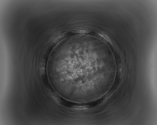 X0000085750553200703231135