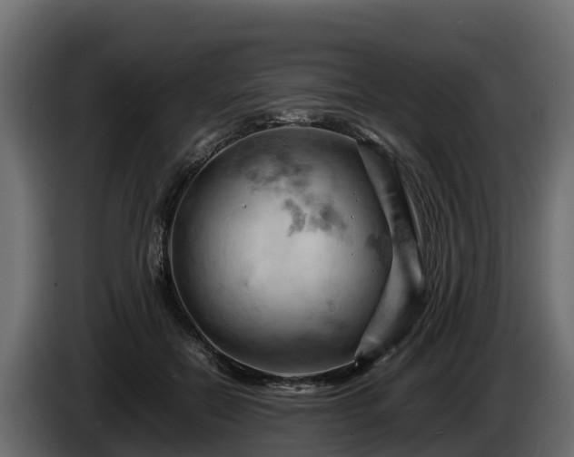 X0000085750554200703231135
