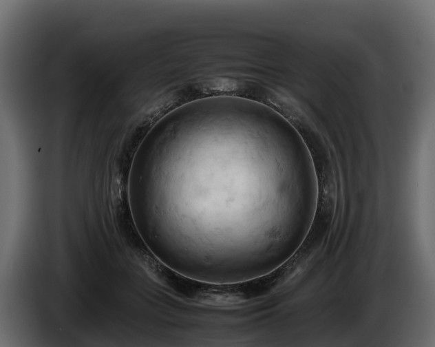 X0000085750555200703231135