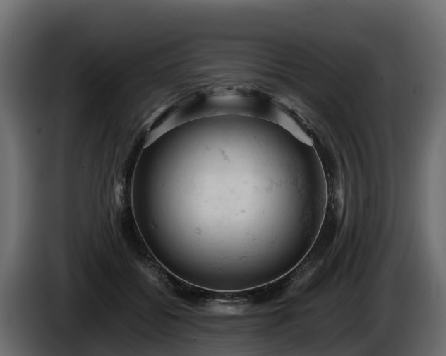 X0000085750556200703231135