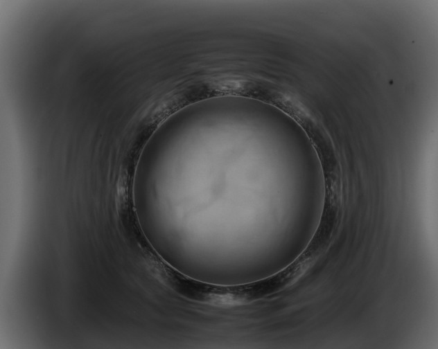 X0000085750561200703231135