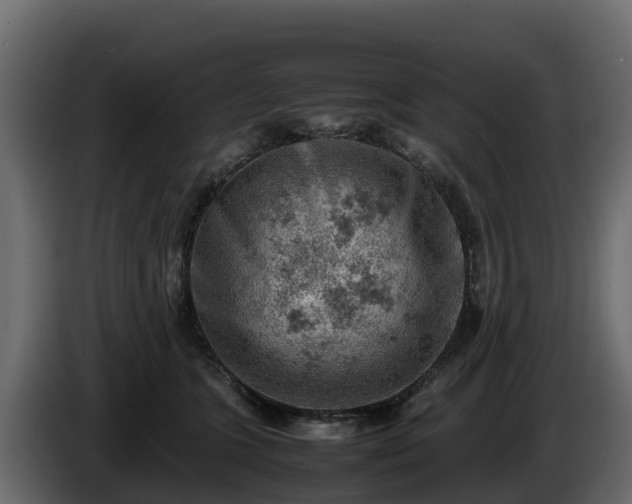 X0000085750563200703231135