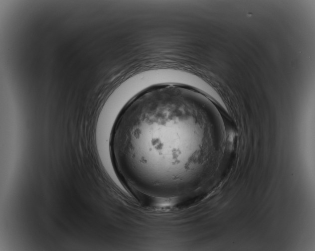 X0000085750566200703231135