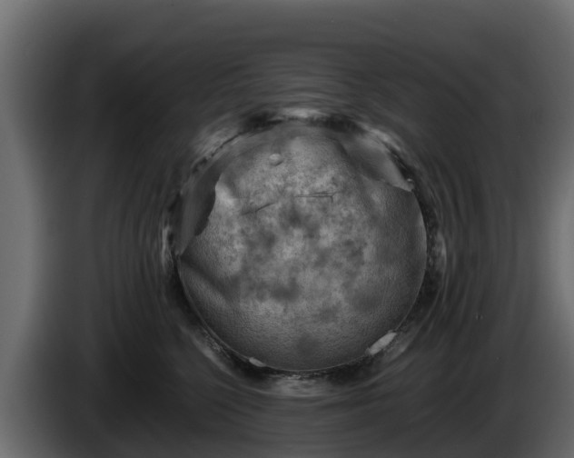 X0000085750568200703231135