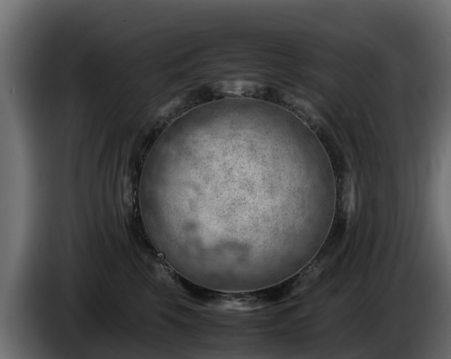X0000085750569200703231135
