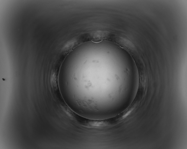 X0000085750575200703231135