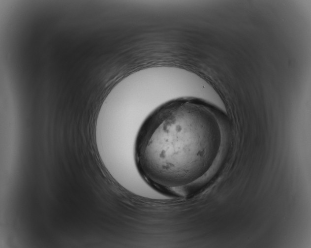 X0000085750576200703231135