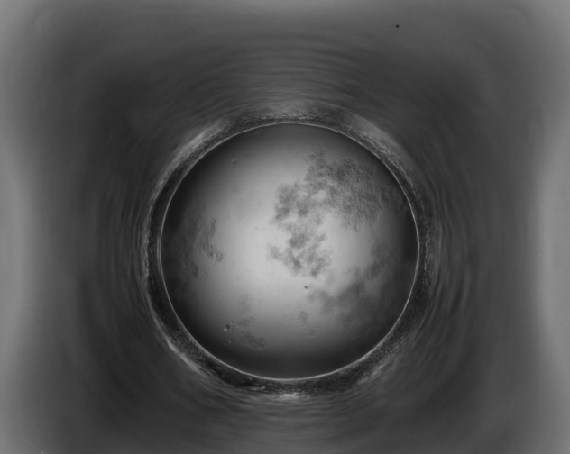 X0000085750578200703231134