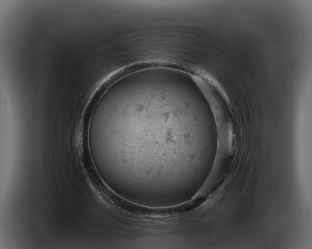 X0000085750580200703231134