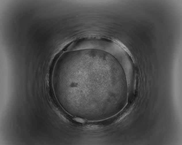X0000085750581200703231134