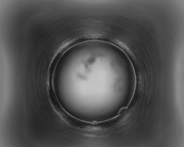 X0000085750582200703231134