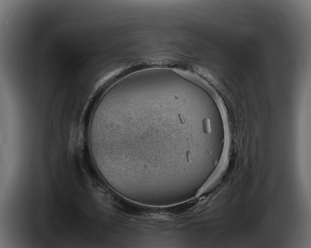 X0000085750583200703231134