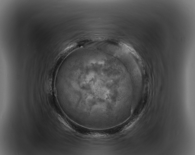 X0000085750585200703231134