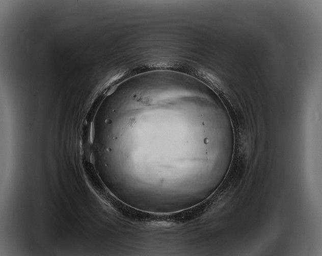 X0000085750586200703231134