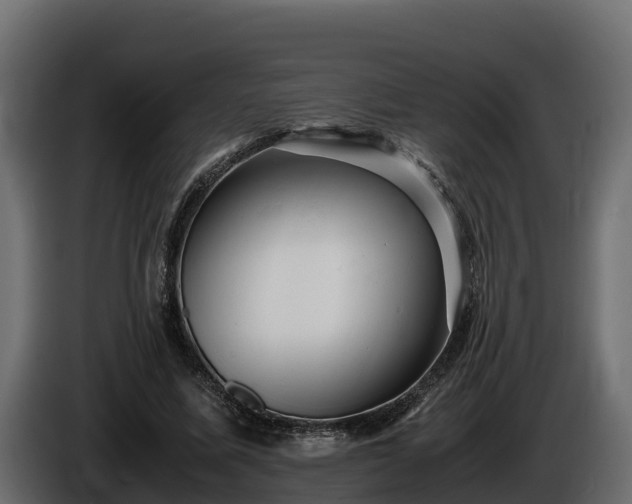 X0000085750587200703231134