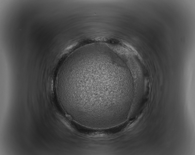 X0000085750589200703231134