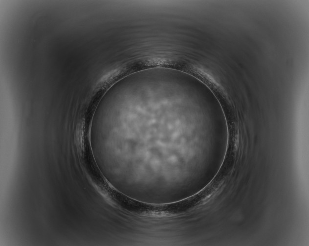 X0000085750590200703231134