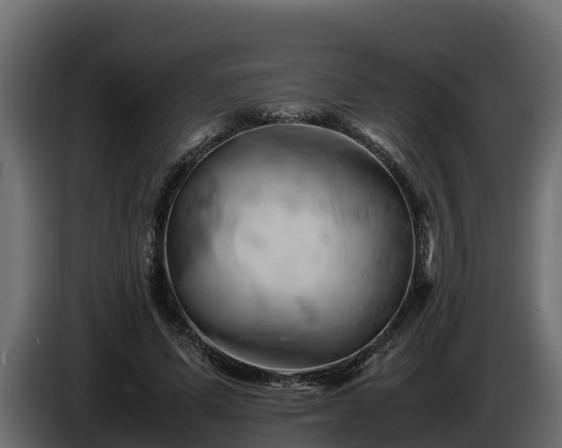 X0000085750591200703231134