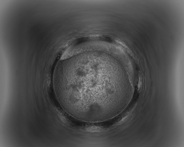 X0000085750593200703231134