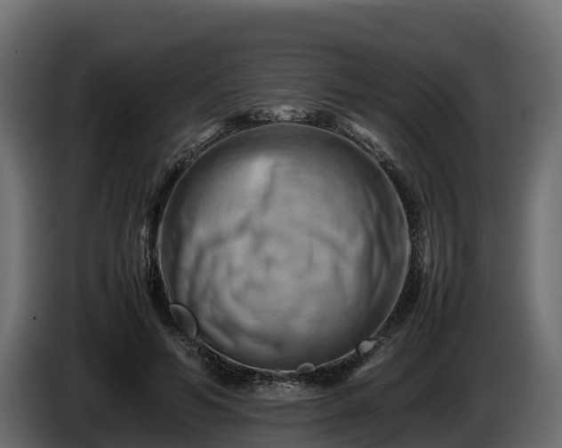 X0000085750594200703231134
