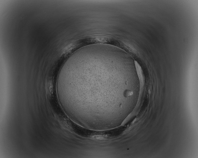 X0000085750595200703231134
