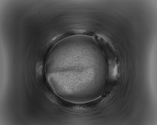 X0000085750596200703231134