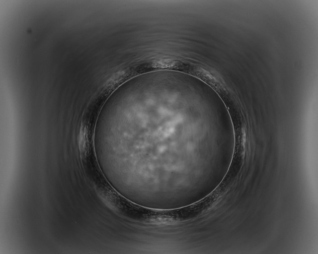 X0000085750598200703231134
