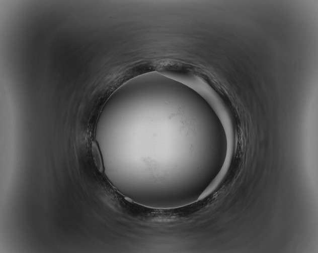 X0000085750601200703231134