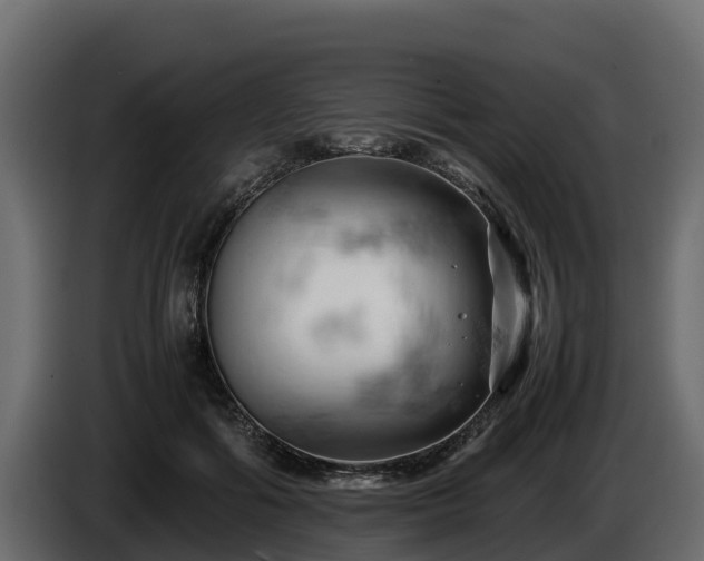 X0000085750602200703231134