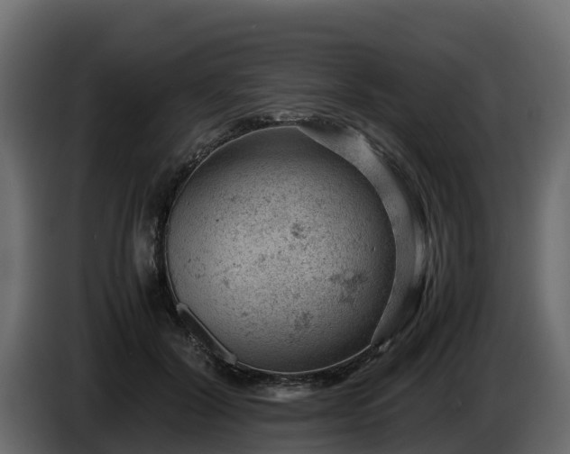 X0000085750604200703231134