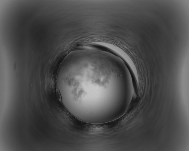 X0000085750613200703231134