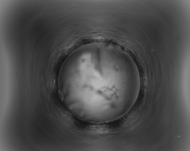 X0000085750615200703231134