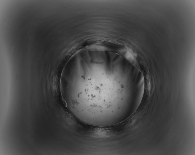 X0000085750616200703231134