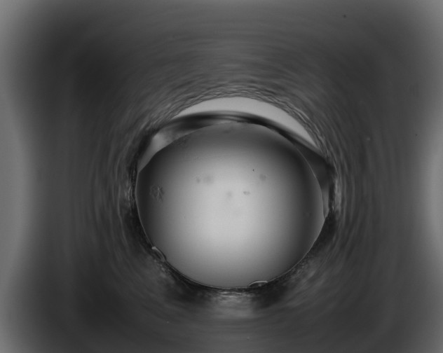 X0000085750617200703231134