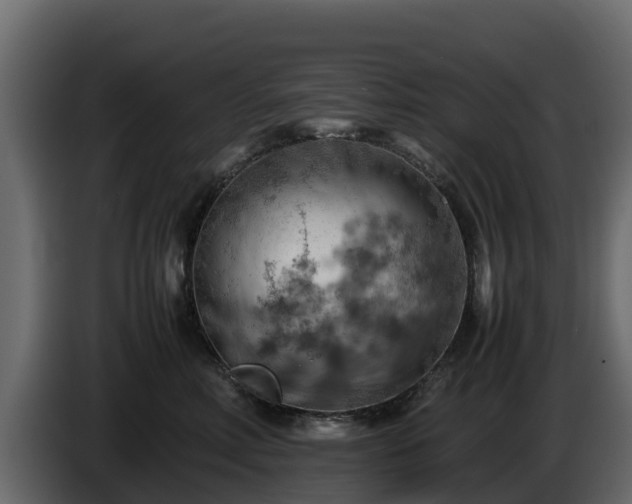 X0000085750618200703231134