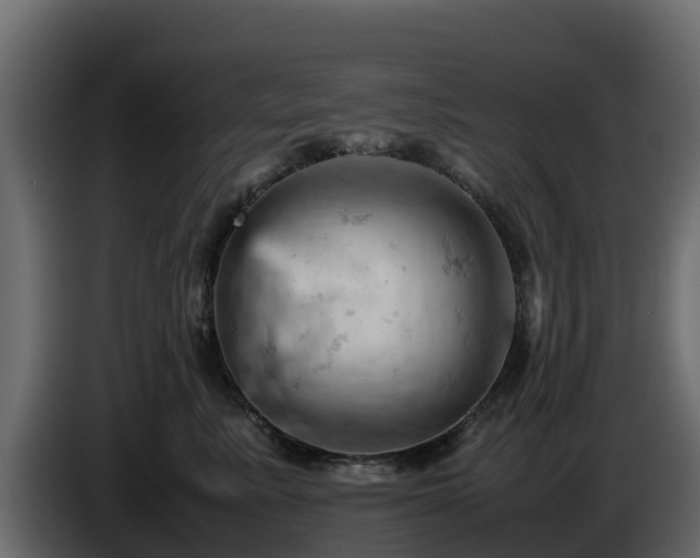 X0000085750619200703231134