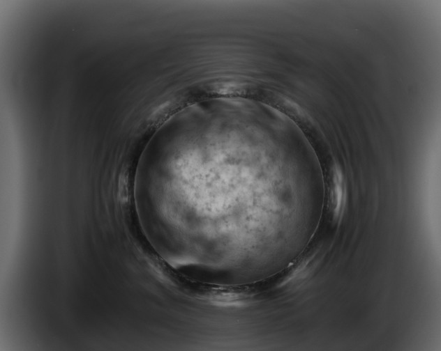 X0000085750620200703231134