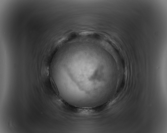 X0000085750621200703231134