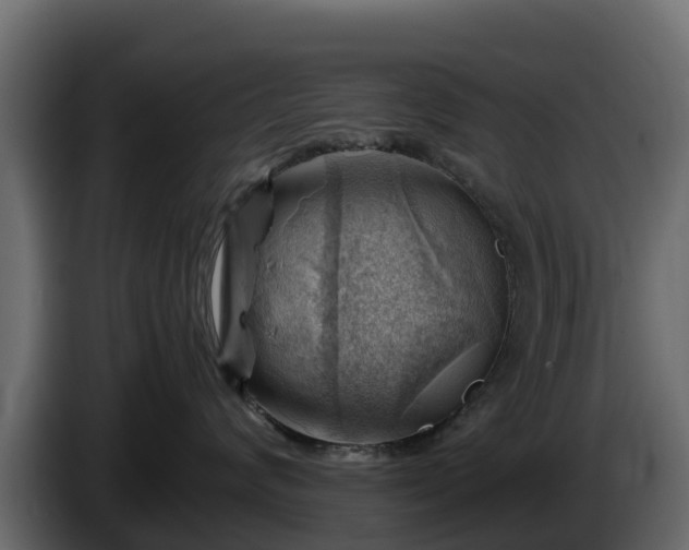 X0000085750624200703231134