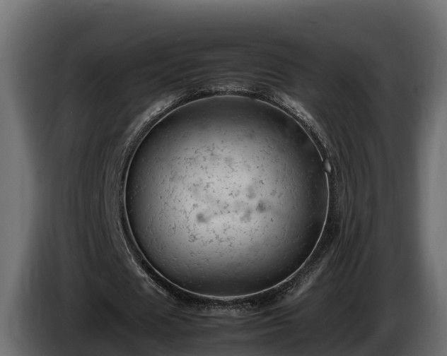 X0000085750625200703231133