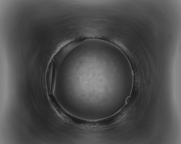 X0000085750626200703231133